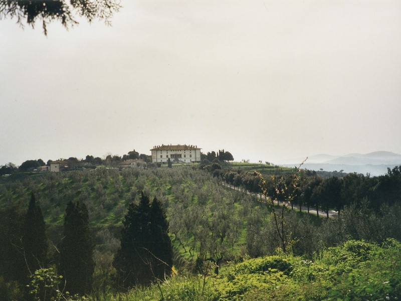 ECFS Consensus Conference Artimino March 2004 Artimino, Italy  March 2001